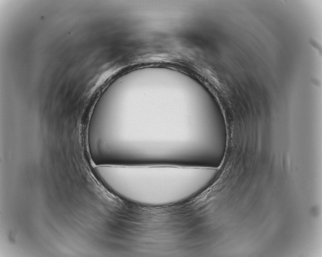 X0000094221404200710260944