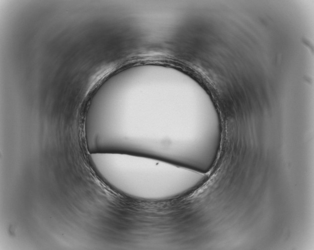 X0000094221405200710260944