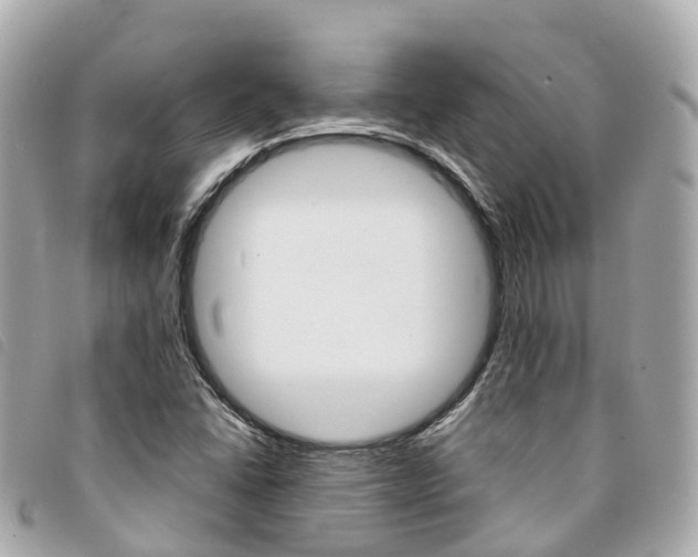 X0000094221406200710260944