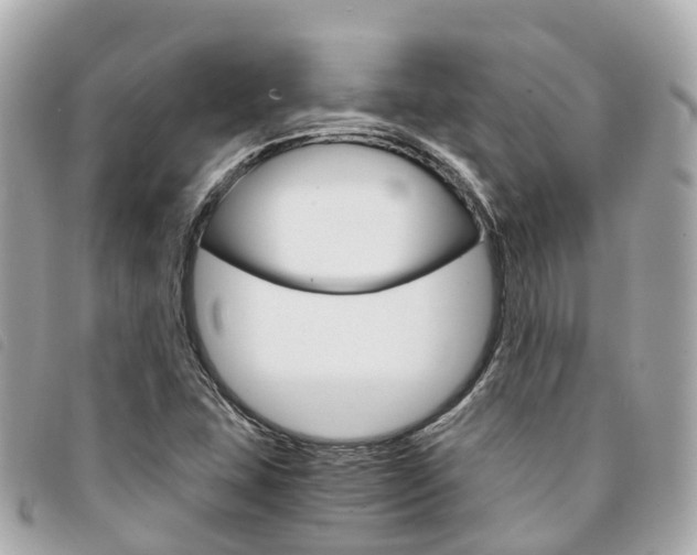 X0000094221407200710260944