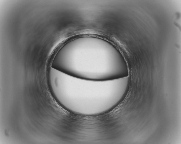 X0000094221408200710260944