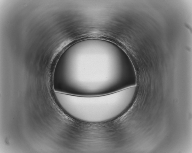 X0000094221410200710260944