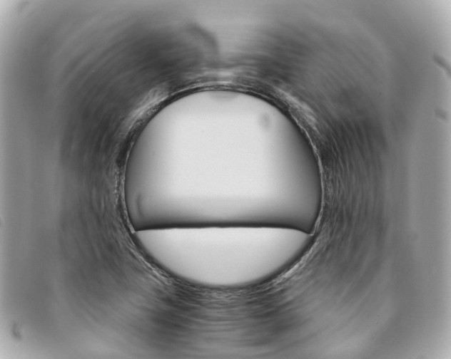 X0000094221411200710260944