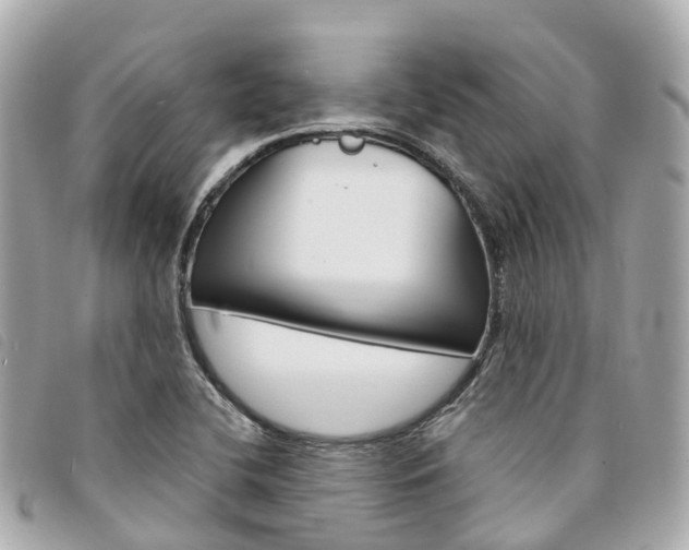 X0000094221412200710260944