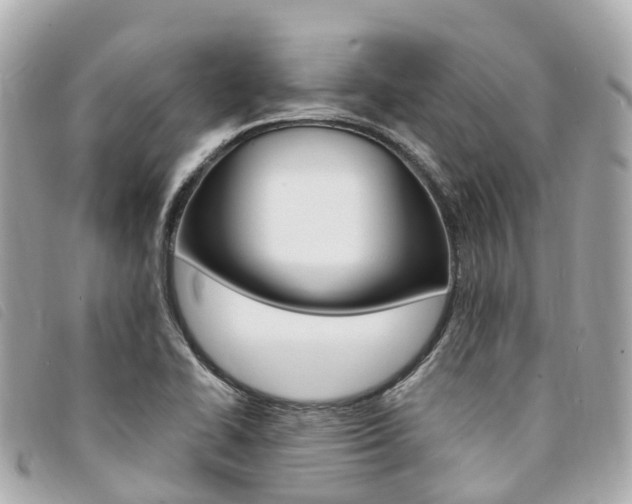 X0000094221414200710260944