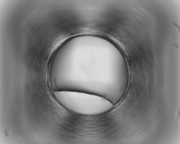 X0000094221415200710260944