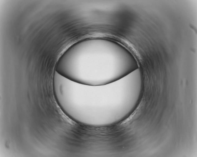X0000094221417200710260944
