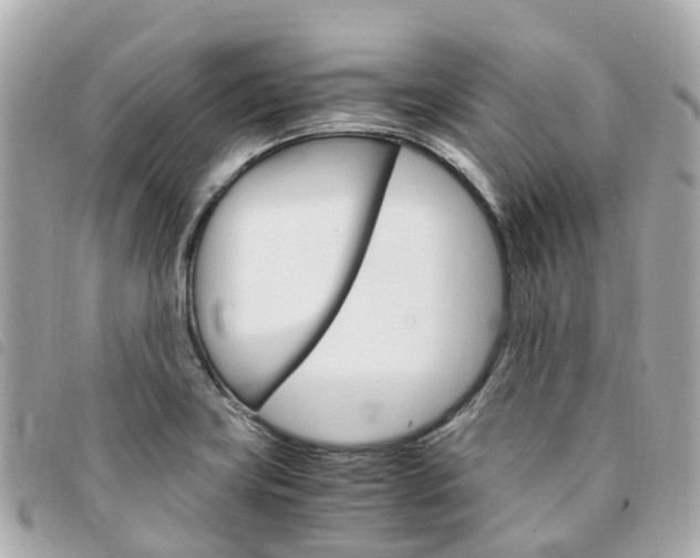 X0000094221419200710260945