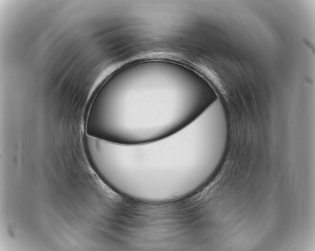 X0000094221420200710260945