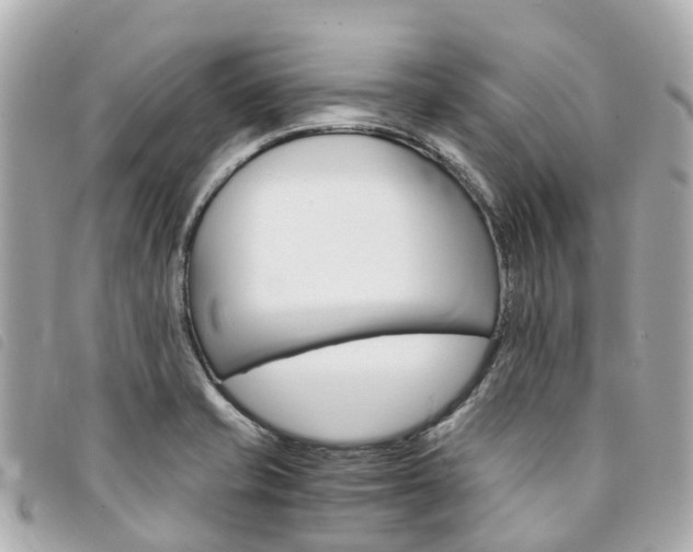 X0000094221421200710260945
