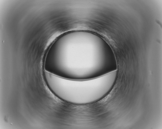 X0000094221422200710260945