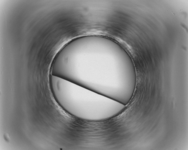 X0000094221423200710260945