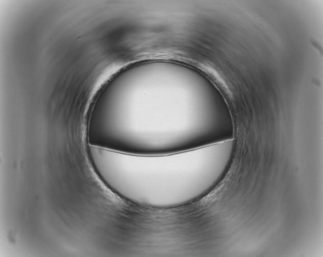 X0000094221424200710260945