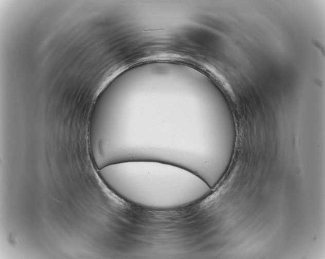 X0000094221425200710260945