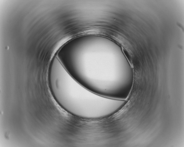 X0000094221426200710260945
