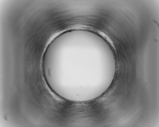 X0000094221429200710260945
