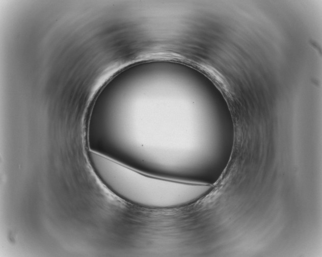 X0000094221430200710260945