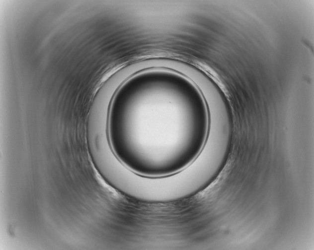 X0000094221433200710260945