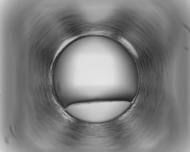 X0000094221436200710260945