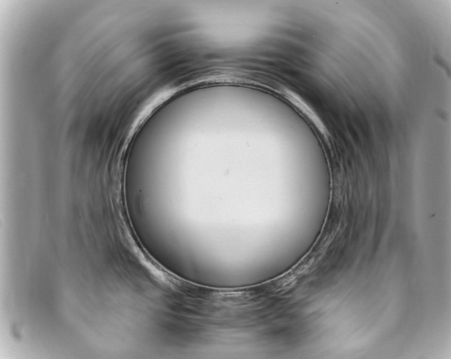 X0000094221437200710260945