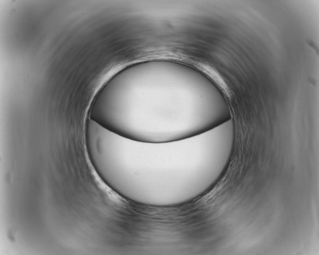 X0000094221439200710260945