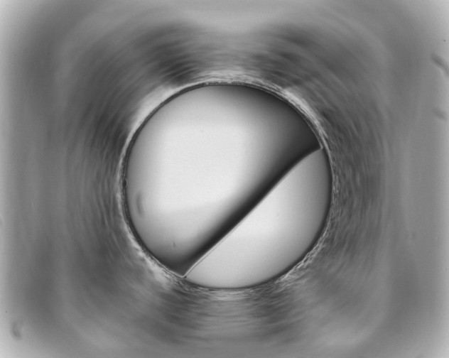 X0000094221440200710260945