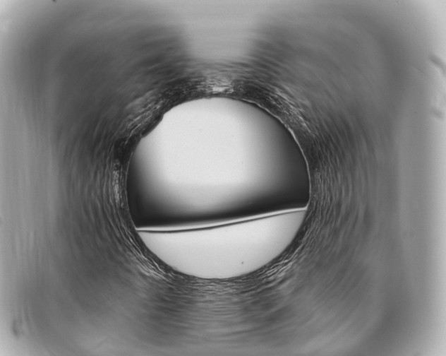 X0000094221442200710260944