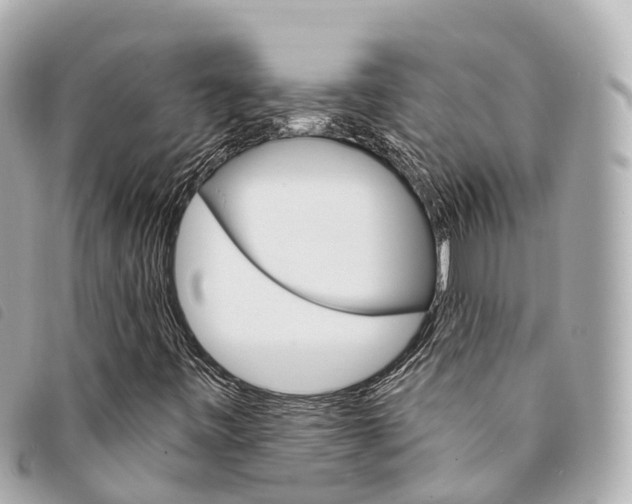 X0000094221443200710260944