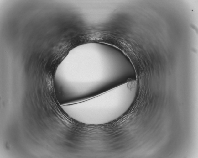 X0000094221444200710260944