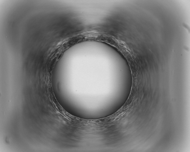 X0000094221445200710260944