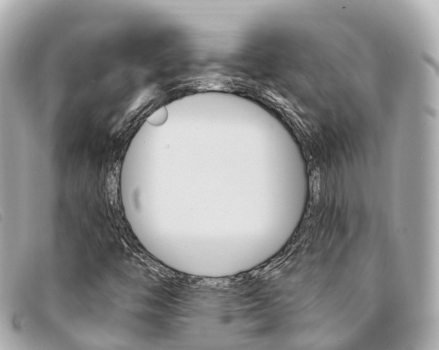 X0000094221446200710260944