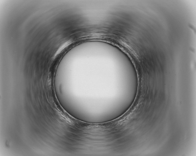 X0000094221450200710260944