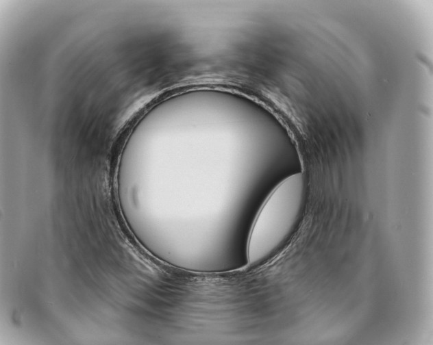 X0000094221452200710260944