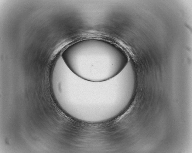 X0000094221453200710260944