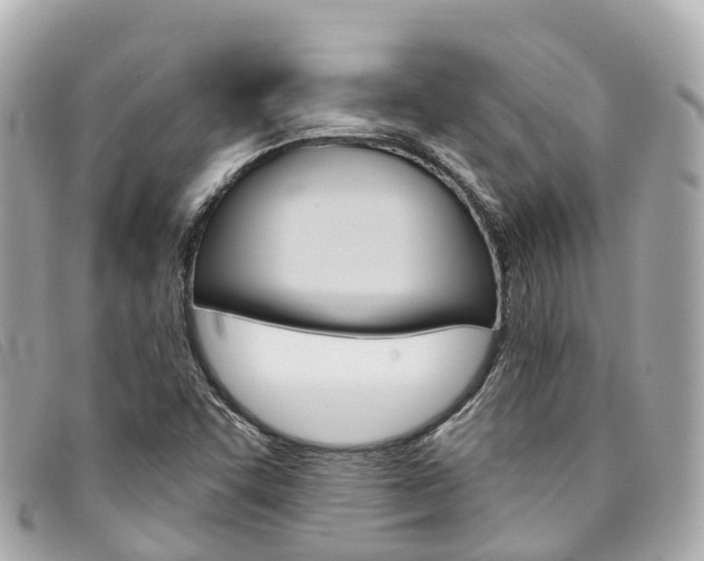 X0000094221455200710260944