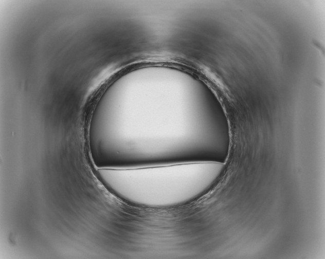 X0000094221456200710260944