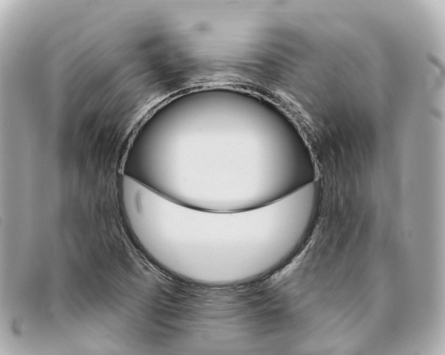 X0000094221457200710260944