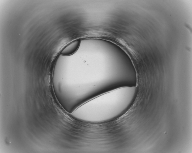 X0000094221459200710260944