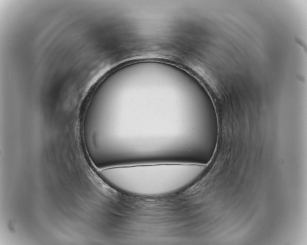 X0000094221460200710260944