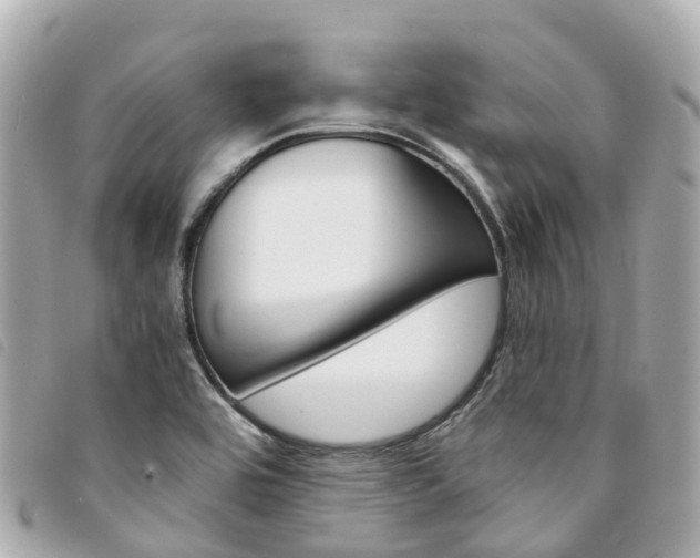 X0000094221464200710260944