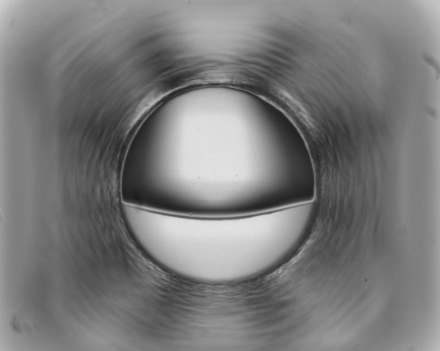 X0000094221465200710260944