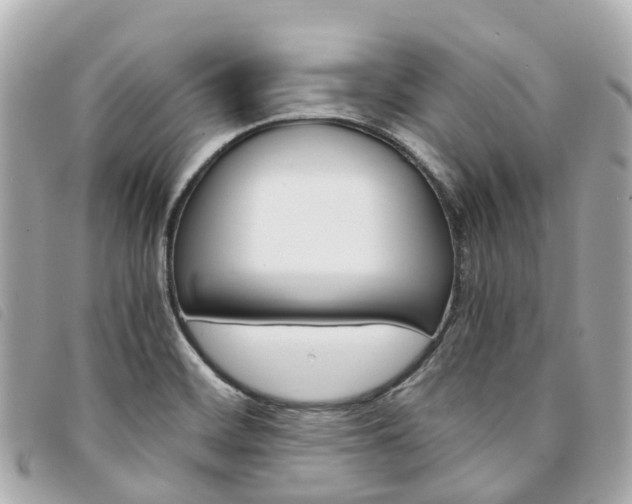 X0000094221468200710260944