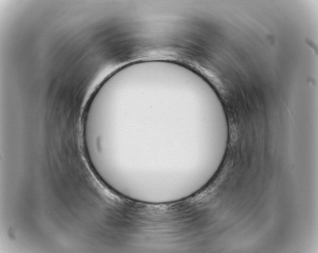X0000094221470200710260944