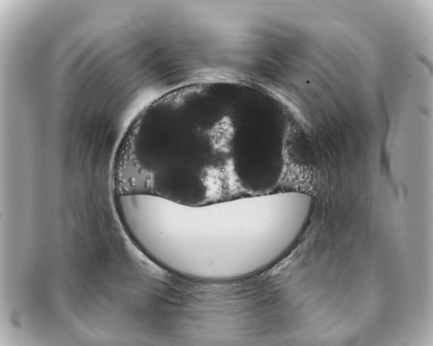 X0000094221471200710260944