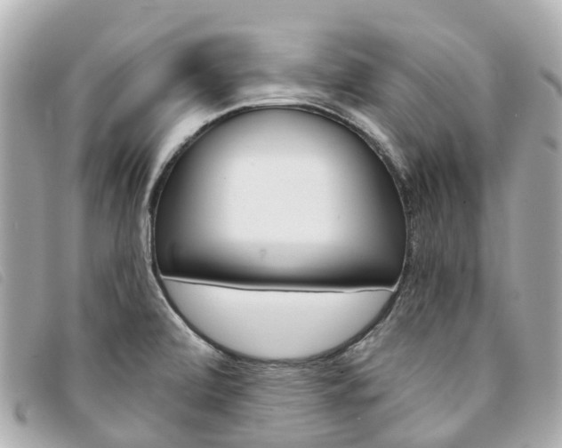 X0000094221472200710260944