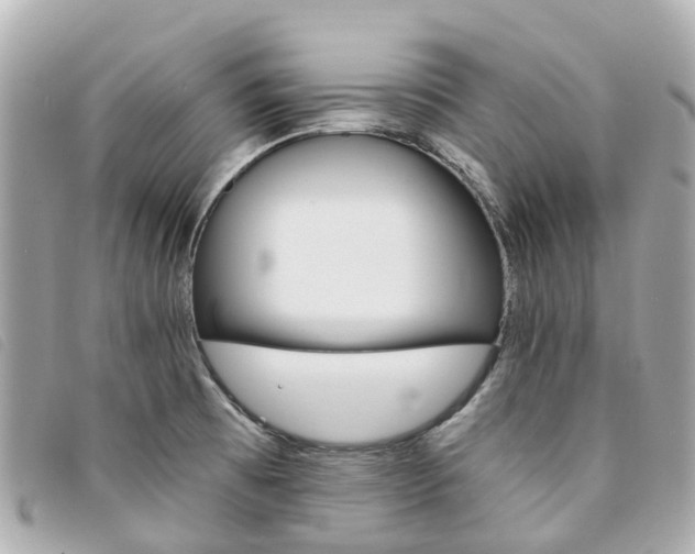 X0000094221473200710260944