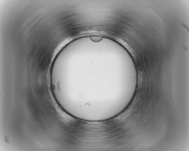 X0000094221474200710260944