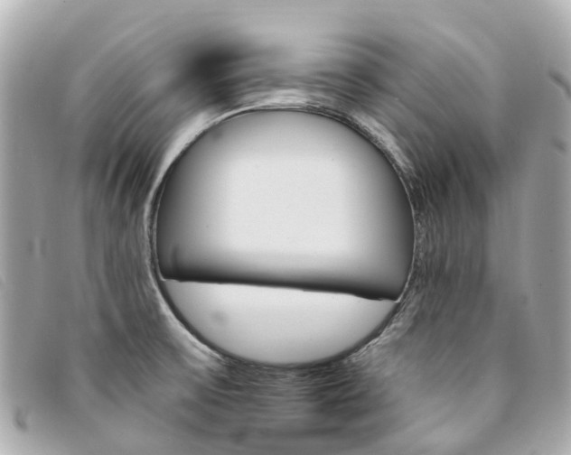 X0000094221475200710260943