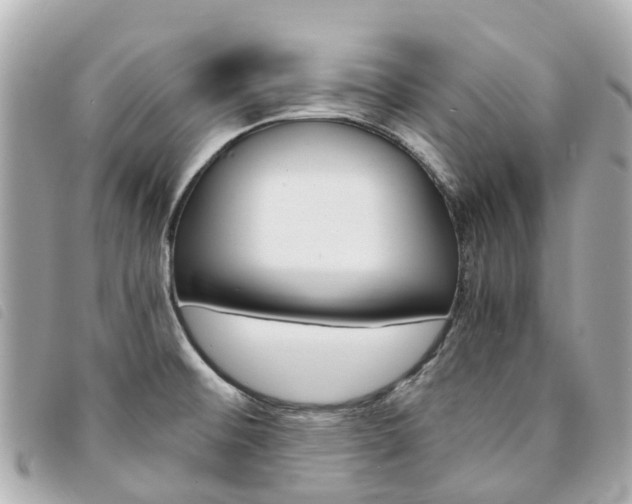 X0000094221476200710260943