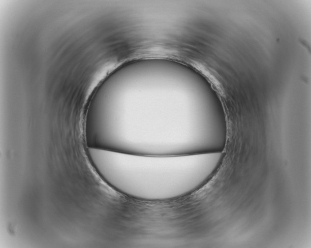 X0000094221477200710260943